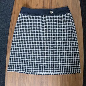 Ann Taylor Lined Skirt